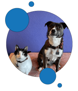 Monte & Cristo, Goosebumps Greeters